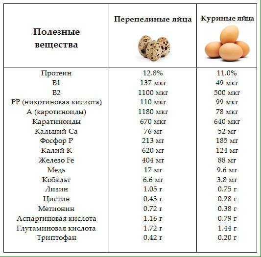 Перепелиные яйца. Тушки перепел.