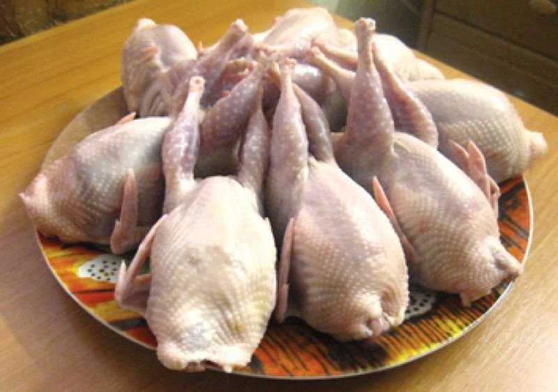 Продам тушкы перепелов. Яйца перепелиные.