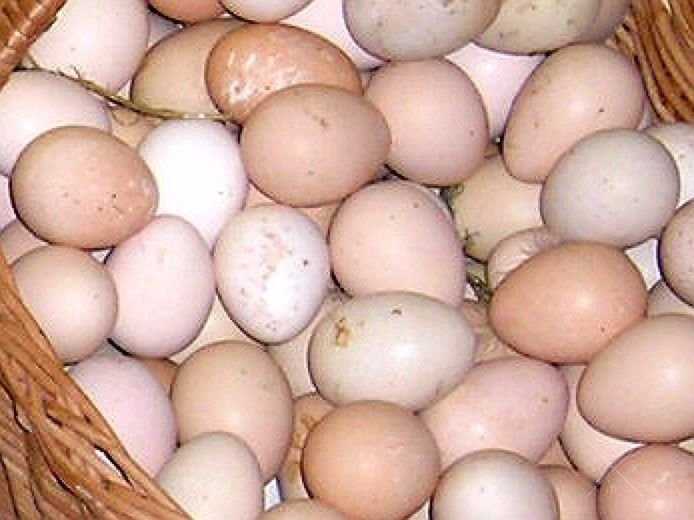 Продаю домашние яйца
