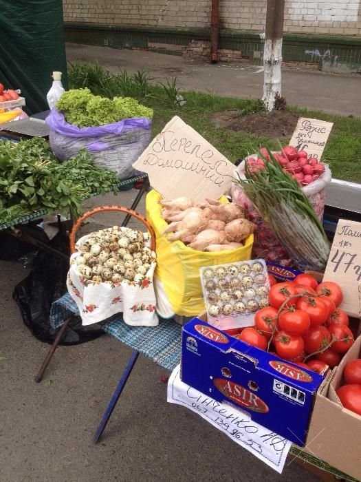 Продам крупные, домашние перепелиные яйца