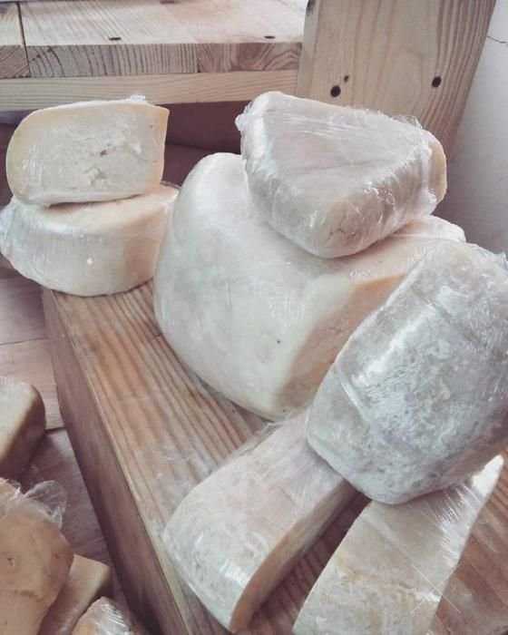 продам козье и овечье молоко