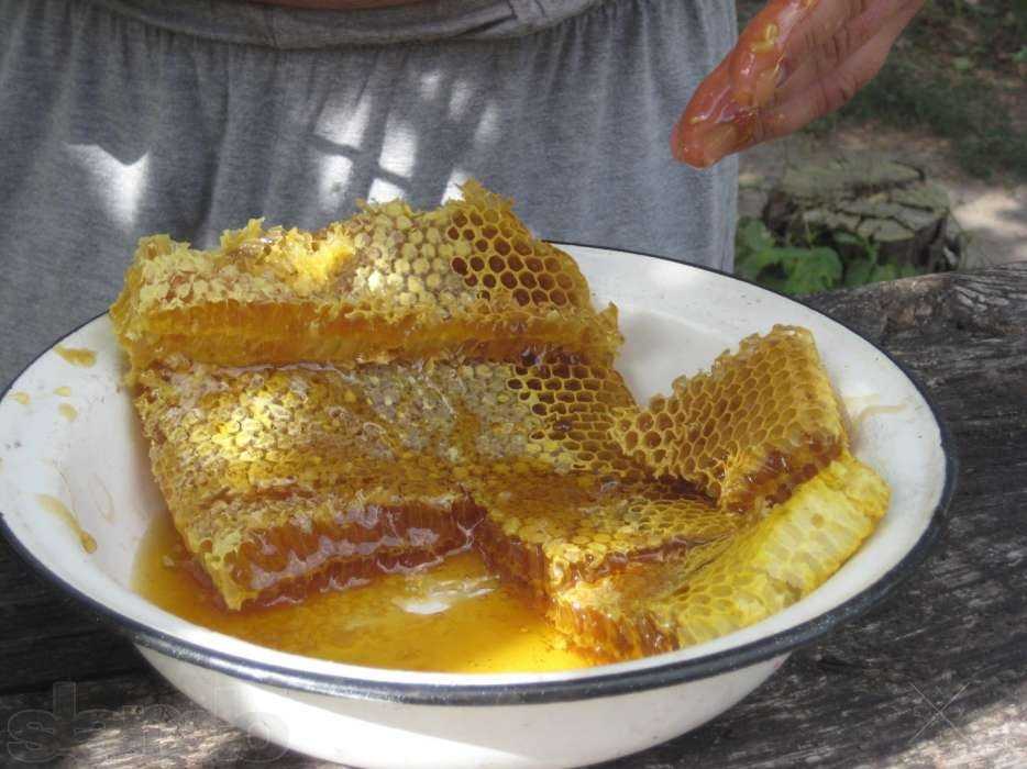 Продаю мёд и забрус