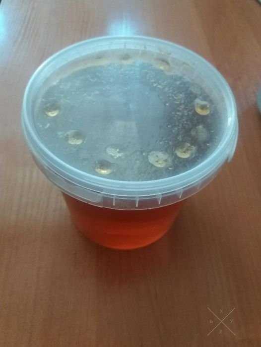Мед продам