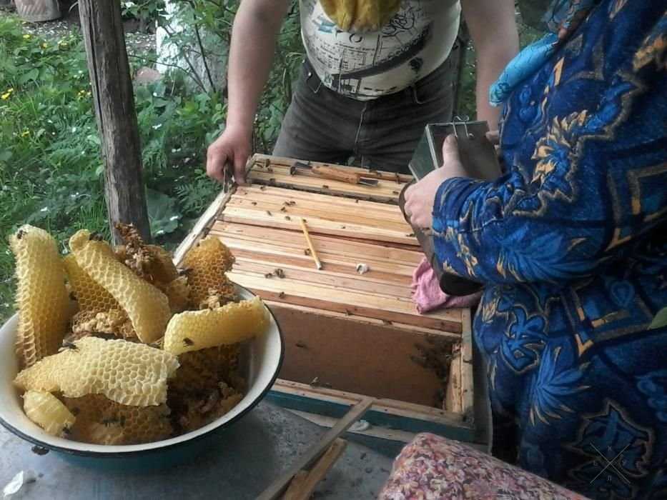 Мед Цветочный 3 литра 250