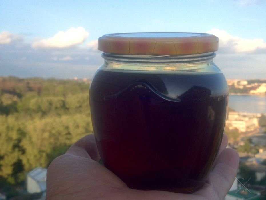 Продам мед Карпатський. Мьод Карпатский. Мёд падевый