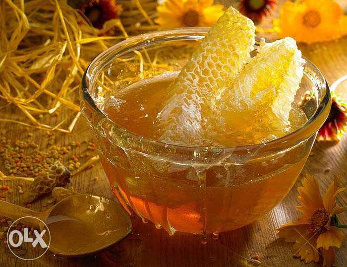 Продам домашний мед по цене 100 гривен за 1 литр цветочный мед