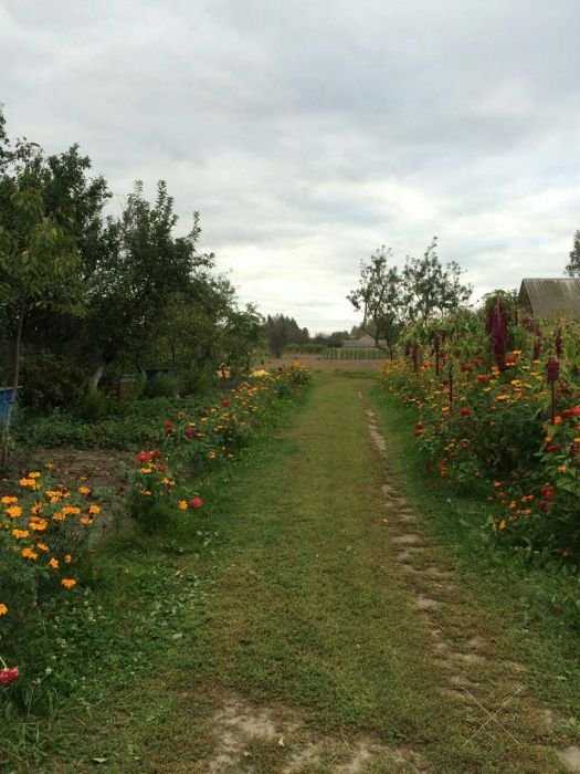Продается домашний мед, качество отменное