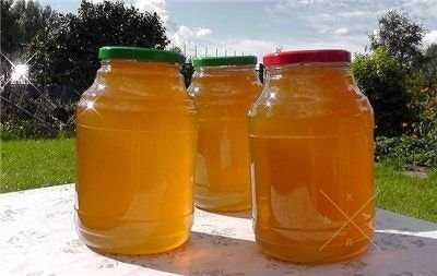 Очень вкусный и полезный мед из лесного разнотравья своей пасеки