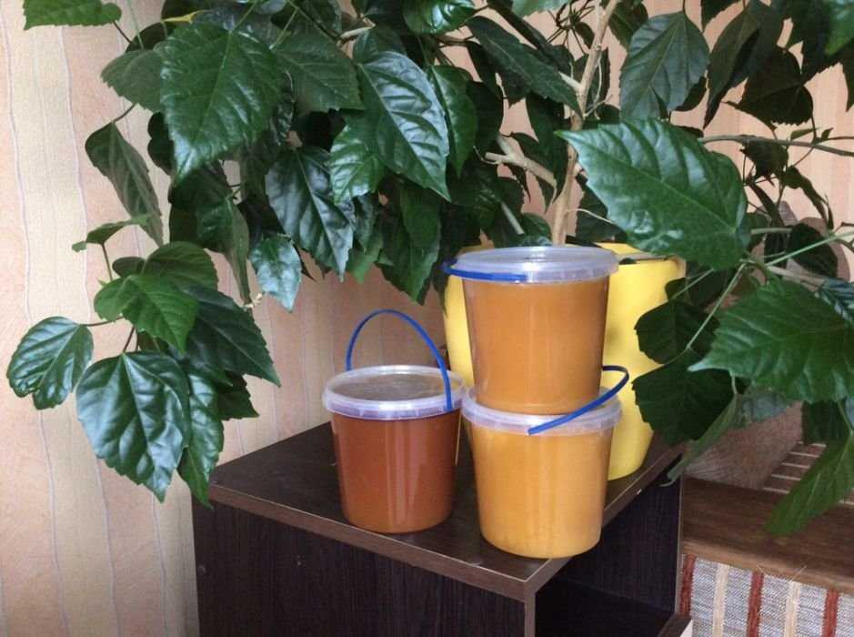Продам мед з прикарпаття