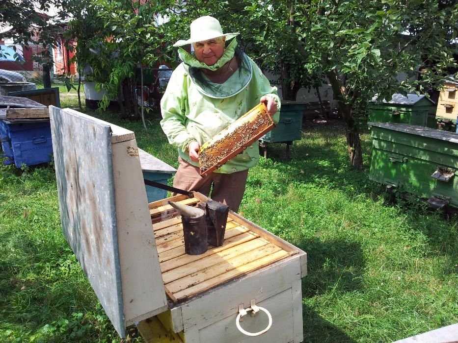 Свіжий мед з власної пасіки