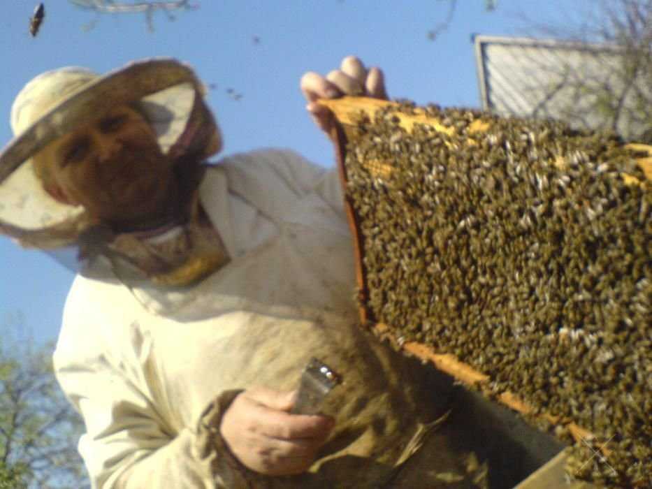 Мед. Своя пасека.