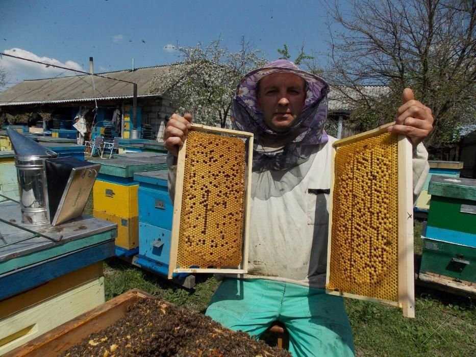 Продам натуральный мед со своей пасеки