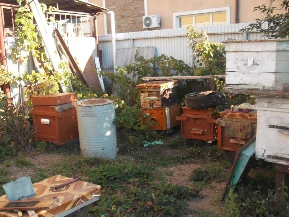 МЕД по 120 грн за 1 литр из собственной пасеки