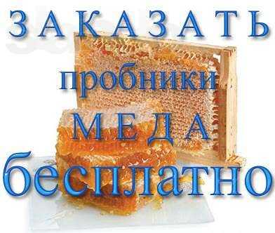 Мед подсолнечный продажа