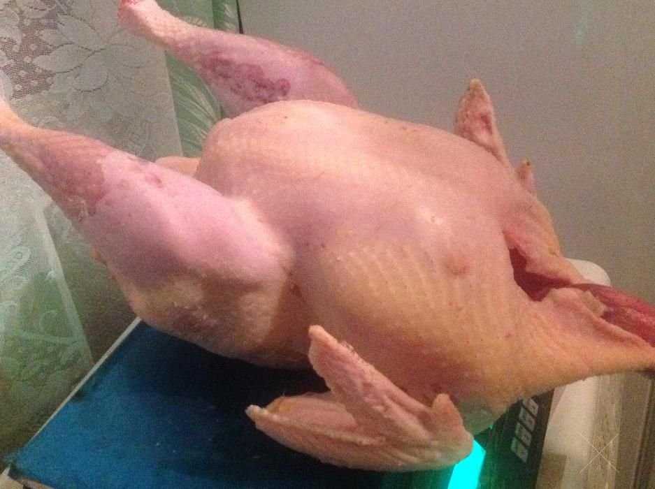 Домашняя индейка (мясо индейки, индюки), 75гр/кг, доставка по Киеву.