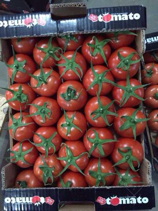 Оптовая и розничная продажа фруктов и овощей ( импорт) со склада