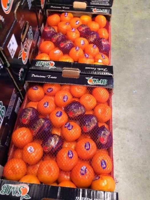 Продажа фруктов опт/ розница .