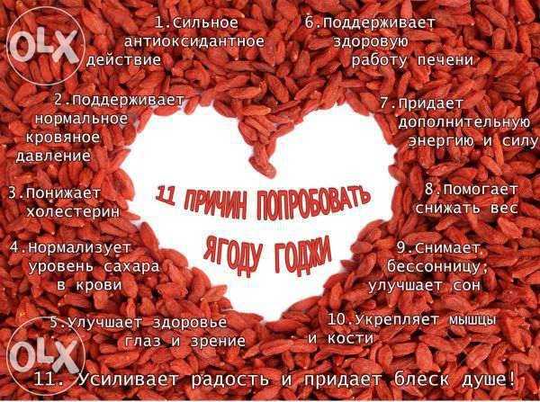 Ягоды Годжи - GOJI 500 гр. ОЧЕНЬ КРУПНЫЕ И Сладкие!!!