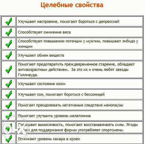 Ягоды Годжи - GOJI 500 гр. ОЧЕНЬ КРУПНЫЕ И Сладкие!!!