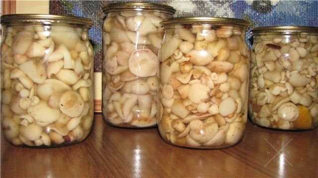 Белые грибы сушёные и консервированные