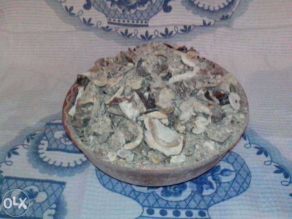 Грибы белые сушеные (соусные, крошка) – Карпаты