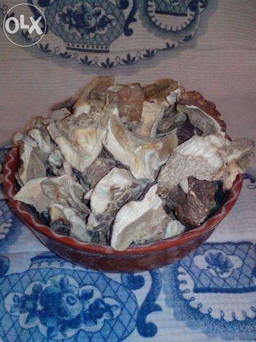 Грибы белые сушеные - Карпаты