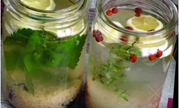 Зооглея (zoogloea), морской рис, индийский рис, гриб квас