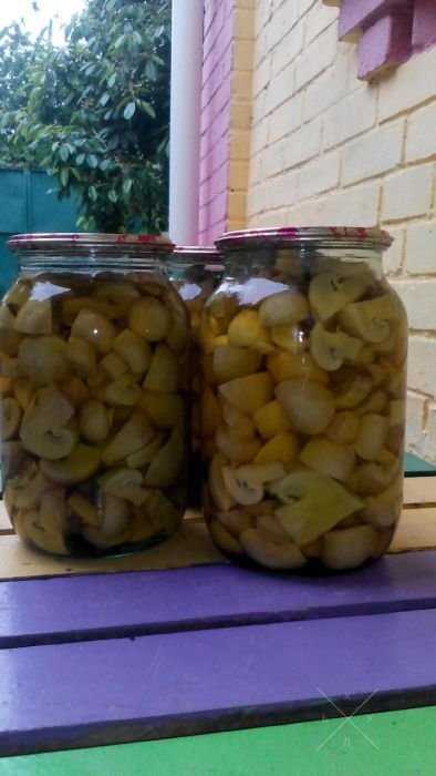 Продам шампиньоны грибы маринованные