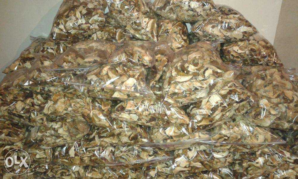Продам Белые грибы