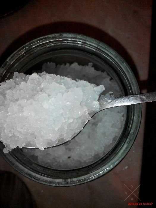 Индийский морской рис, рисовый, морской, индийский, китайский гриб