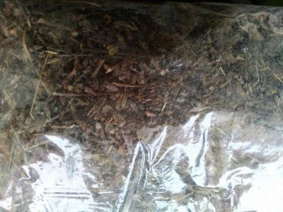 Чай лікувальний