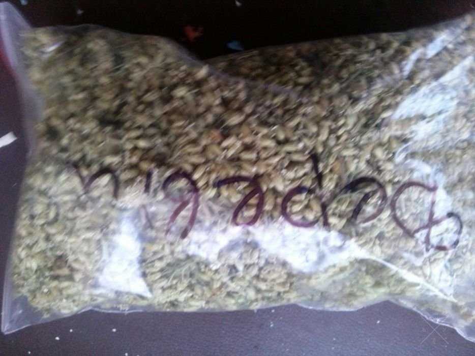 Чай лікувальний