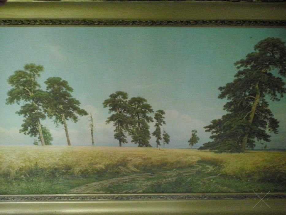 репродукция картины Шишкина
