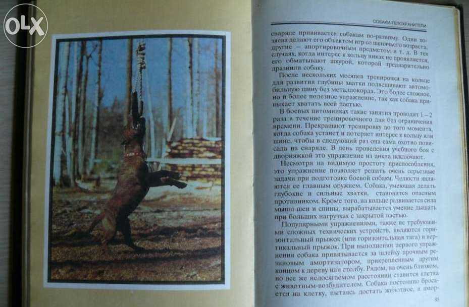 Р.И. Байдер Боевые собаки мира. Собаки телохранители.