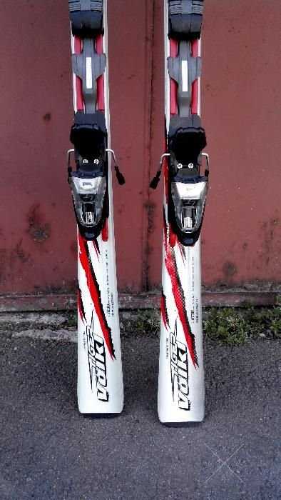 Горные лыжи VOlKl Tiger