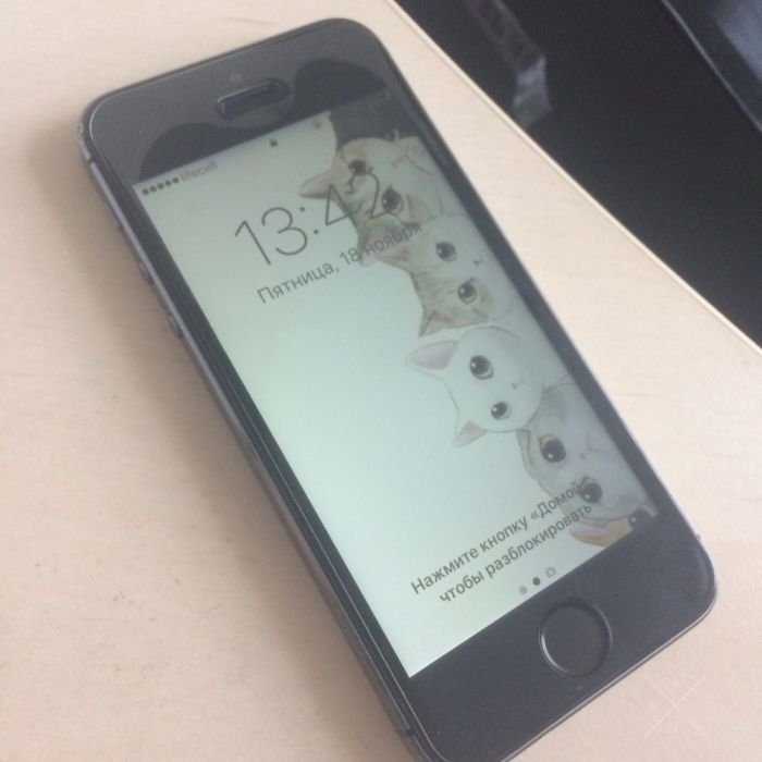 iPhone 5s 16gb