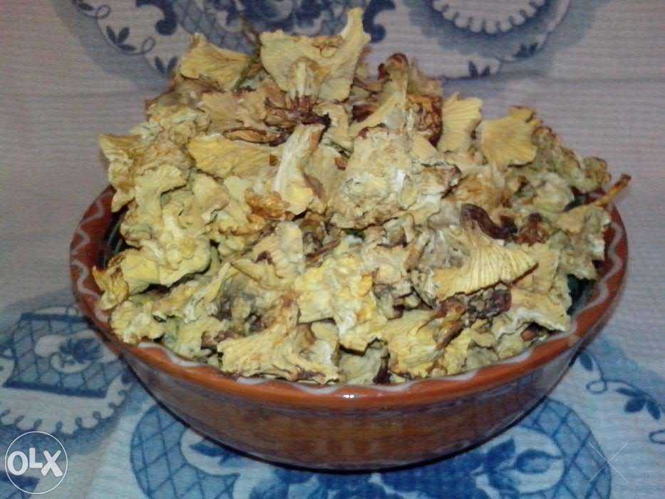 Лисички сушеные (грибы) – Карпаты