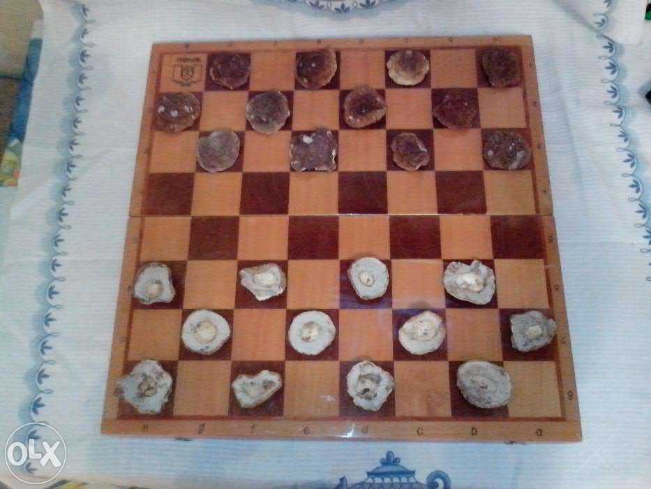 Гриби білі (грибы белые), шапочки (шляпки) сушені - Карпати