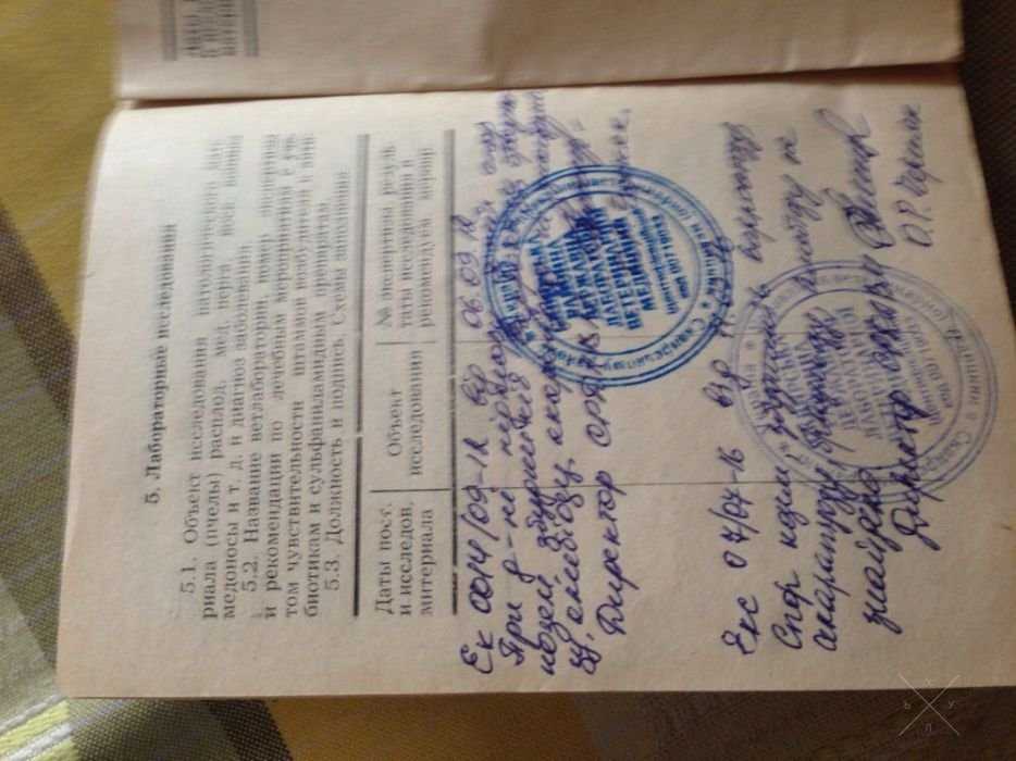 Мед гречано-липовий