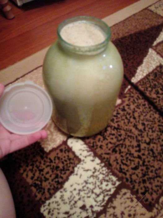 Продам мёд домашний подсолнечный