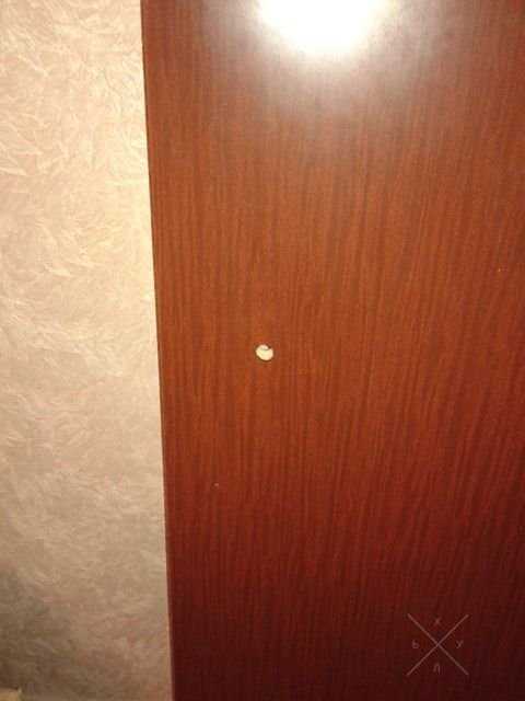 Продам раздвижную дверь 2040х880 мм с нижними роликами и полозьями