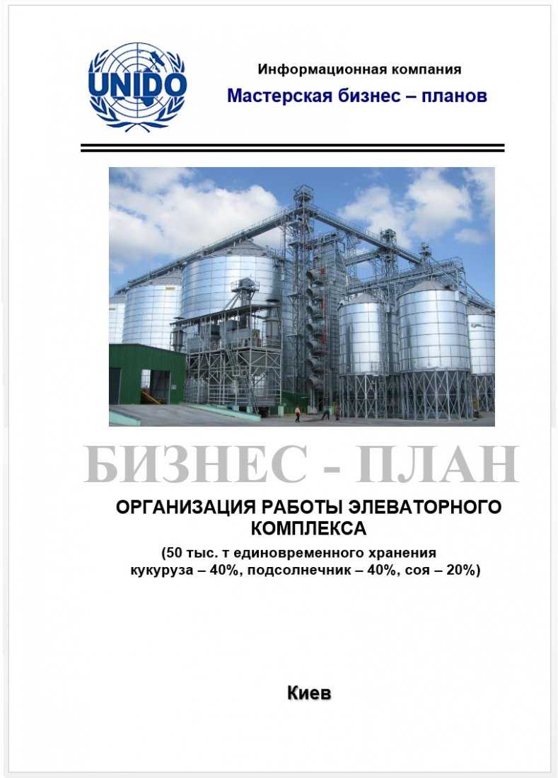 Бизнес – план (ТЭО) Услуги элеватора.Зерновой комплекс