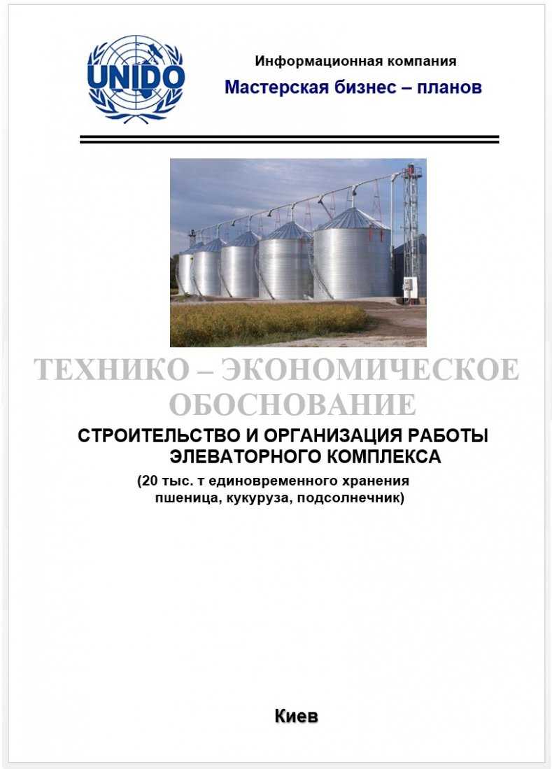 Бизнес – план (ТЭО) Услуги элеватора.Зерновой комплекс