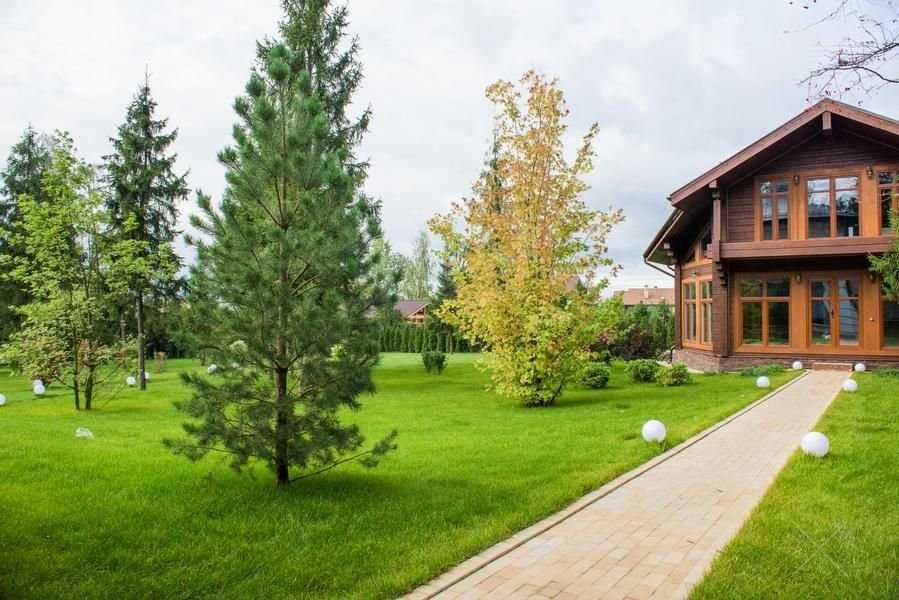 Рулонный газон лучшая цена от производителя, 7 лет на рынке Украины