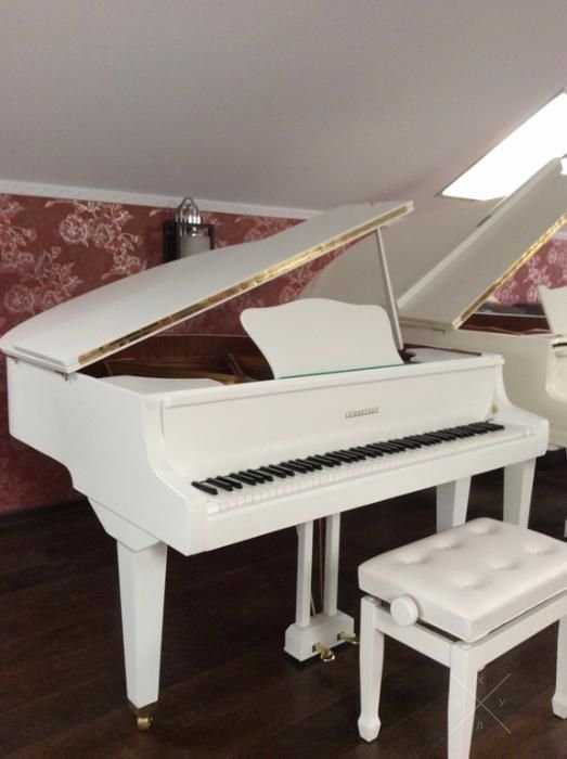 Пианино , рояль - Petrof Weinbach Bluthner Bechstein Forster Гарантия