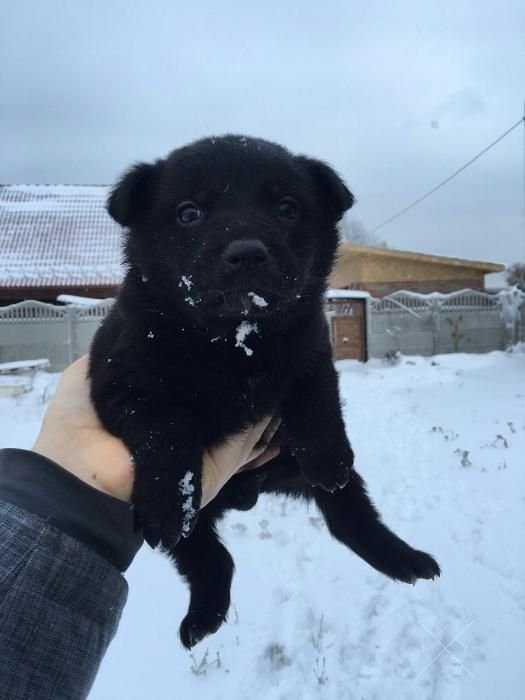 Надежная охрана