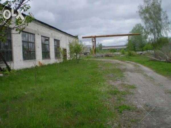 Аренда (от 30 кв.м. до 1700 кв.м.) - 10 грн.кв.м.
