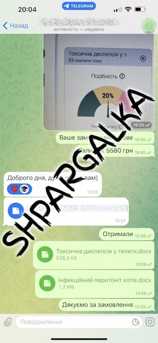 Заключение магистерской работы на заказ в Украине