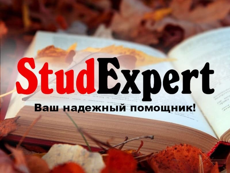Купить презентацию на защиту магистерской работы