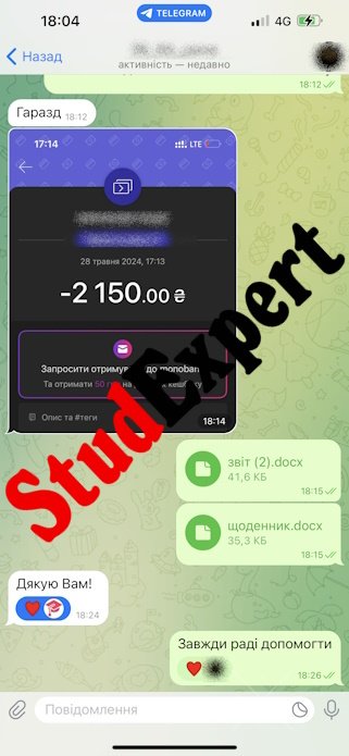 Купить презентацию на защиту бакалаврской работы